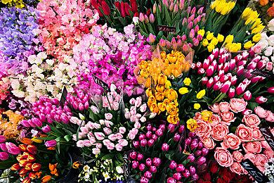 Epic商城夏季特卖正式开启 多款3A游戏大作打折